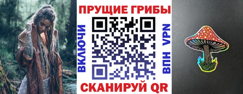 Псилоцибиновые грибы Magic Shrooms  наркота  mega зеркало  Шахунья 